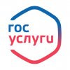 Госуслуги без очереди